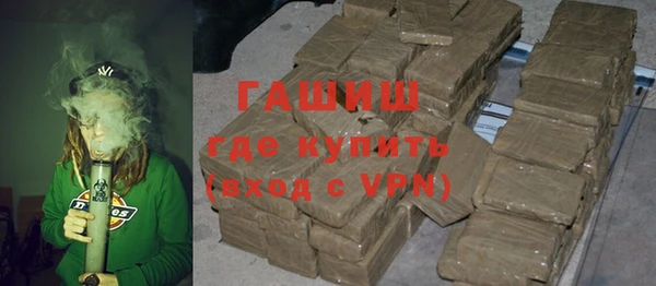 стаф Алзамай