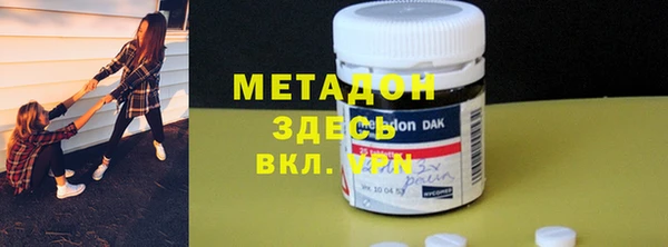стаф Алзамай