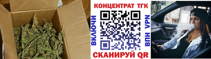 Купить  Терек  ТГК THC oil 