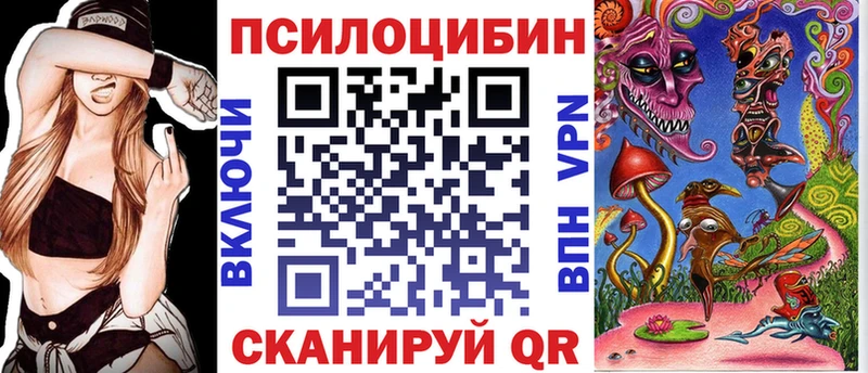 Купить  Терек  Галлюциногенные грибы мицелий 